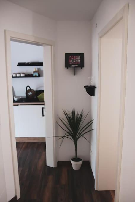 Schoene Wohnung Top Lage Koeln Work & Relax & Travel Φρέχεν Εξωτερικό φωτογραφία